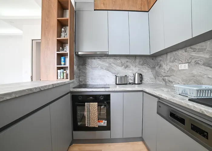 Cozy And Stylish 公寓 塞拉耶佛