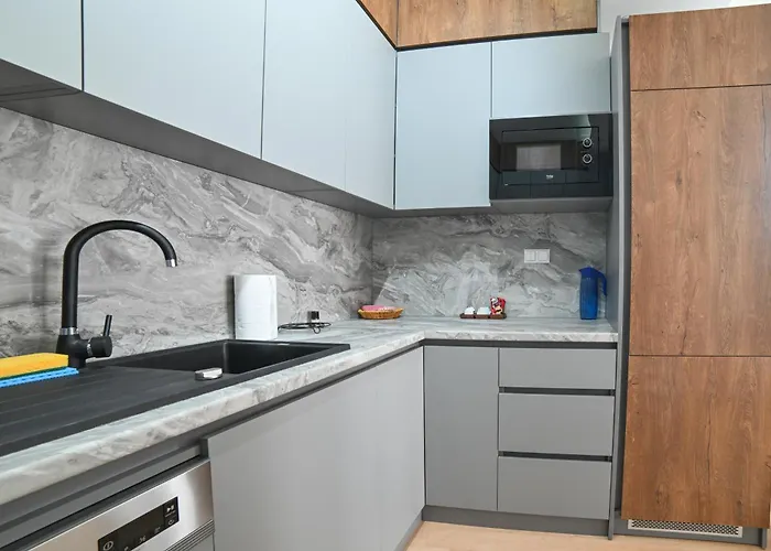 Cozy And Stylish 公寓 塞拉耶佛