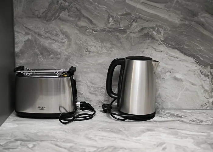 Cozy And Stylish 公寓 塞拉耶佛