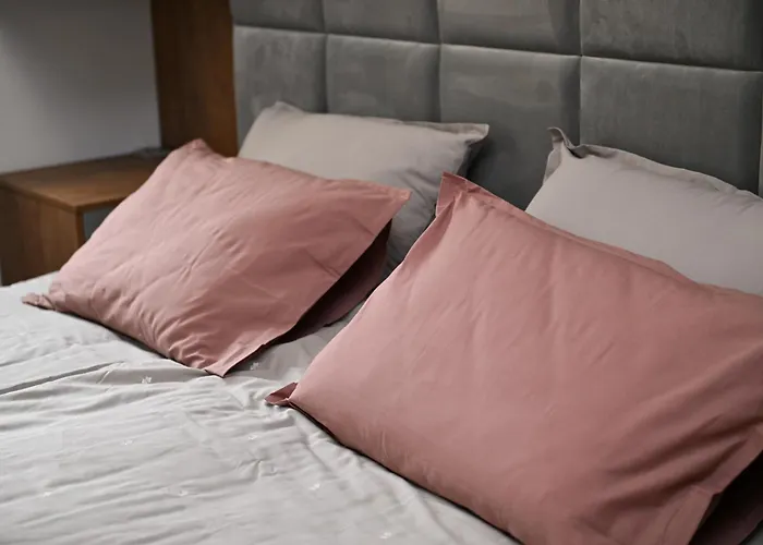 Cozy And Stylish 公寓 塞拉耶佛